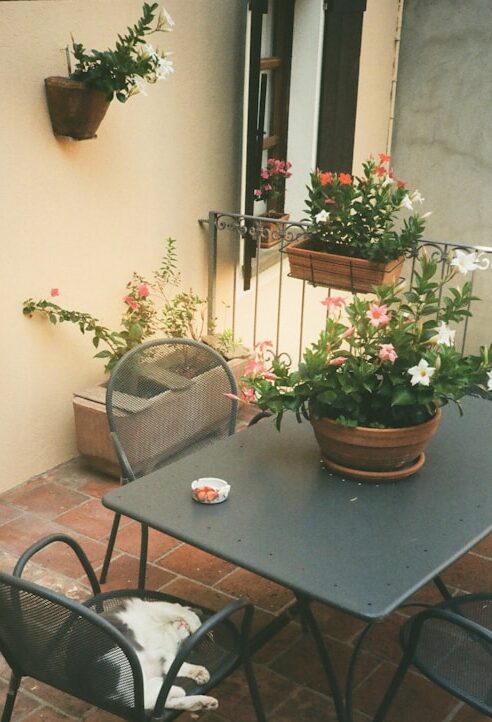 Balcony with a vertical wall planter, hanging basket and potted flower