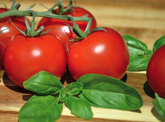 Fresh tomatoes and basil