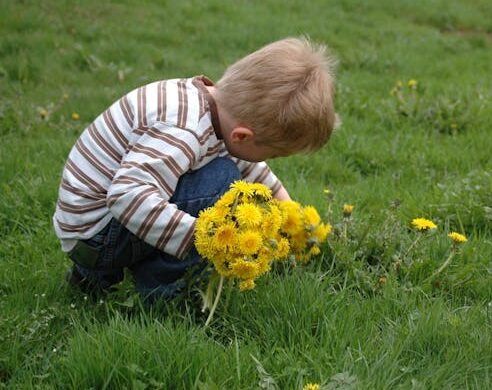 A child picking dandelions