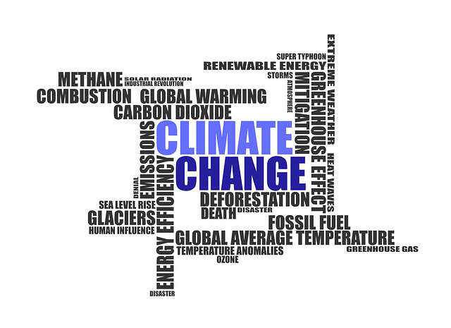 Climate change in writing in the middle, with all the causes written all around.