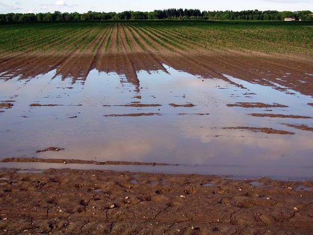 Too much rain floods a farmers field