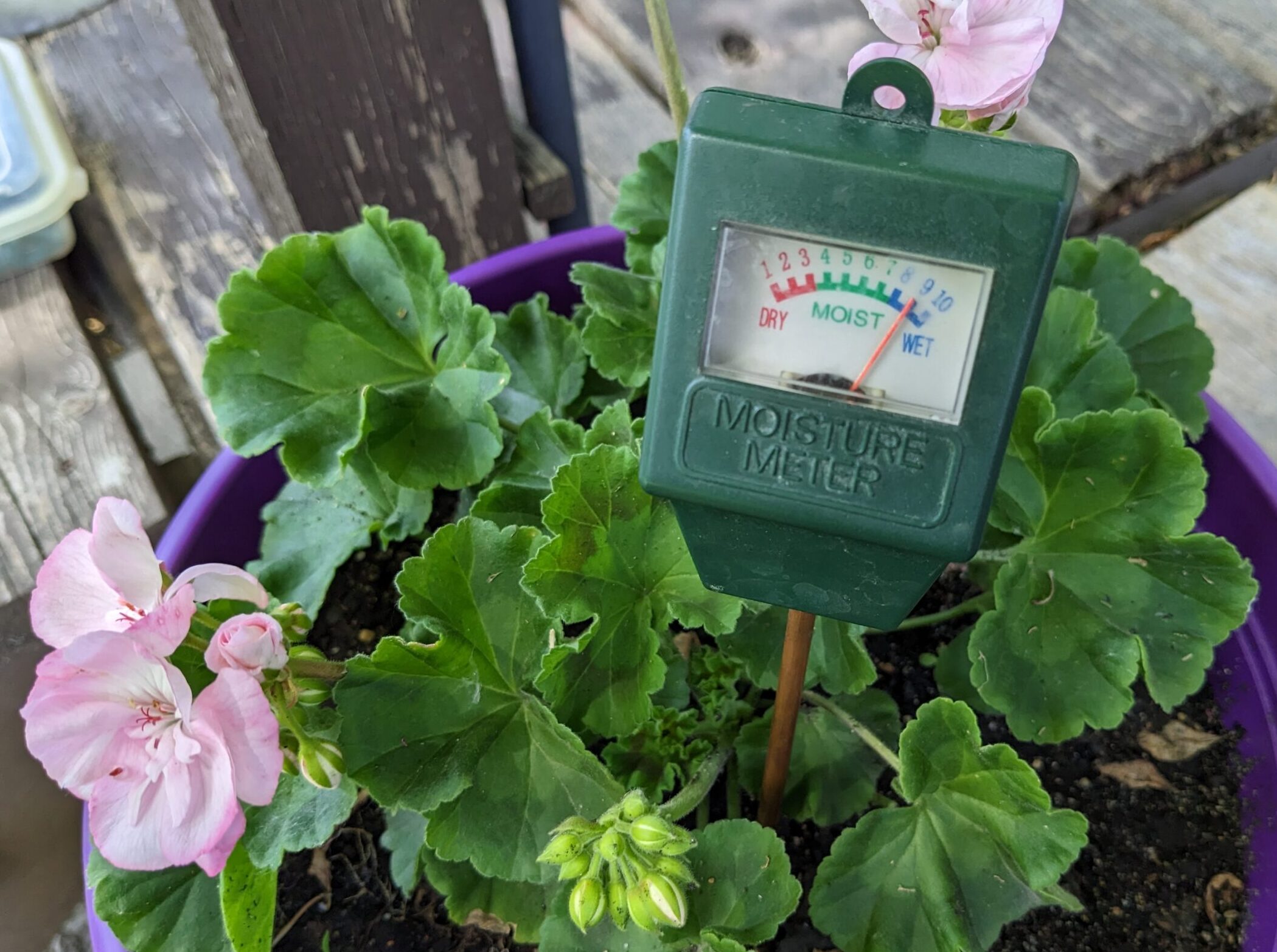 A water meter measuring soil moisture