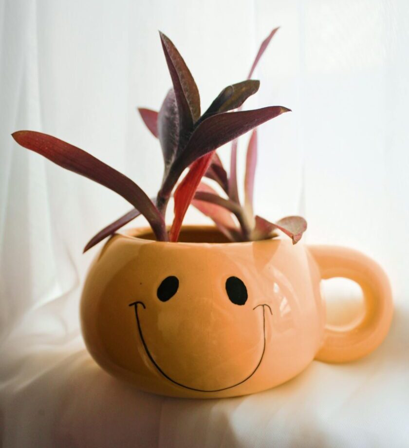 A single green houseplant placed in a mug with a happy face. The plant has vibrant leaves, symbolizing joy and the uplifting effect of nature in our lives.