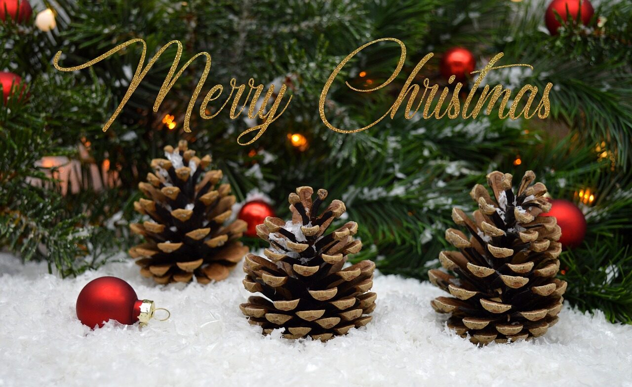 The image features the lower boughs of a Christmas tree adorned with twinkling lights and bright red ornaments. The tips of the boughs are dusted with snow, adding a wintry touch. In front of the tree, three pinecones and a red ornament rest on a bed of white snow. Above the pinecones and across the boughs, the words 'Merry Christmas' are elegantly written in sparkling gold glitter, enhancing the festive atmosphere.